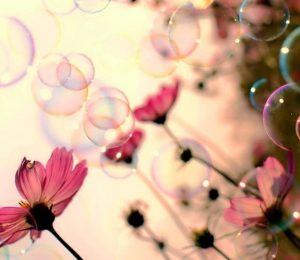 wandelcoaching Spanje