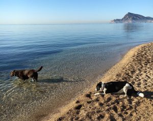 Wonen aan de Costa Blanca