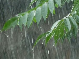 verhuizen naar de costa blanca