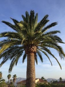 huis bouwen in Spanje