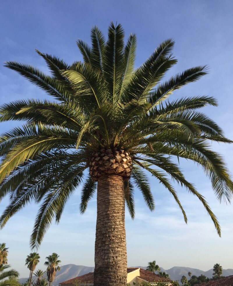 huis bouwen in Spanje