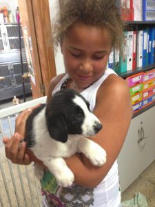 verhuizen naar het buitenland