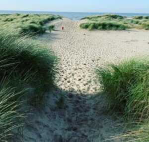 wandelcoaching Nederland healthy walk and talk